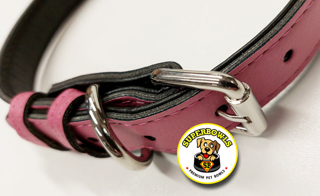 Pet’s Leatherette Collar 