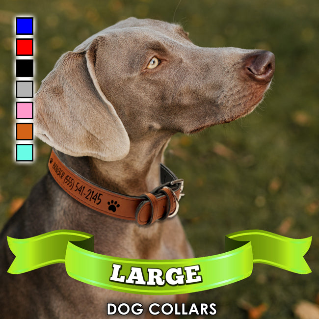 Leatherette Dog Collar 