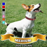 Medium Dog Collar