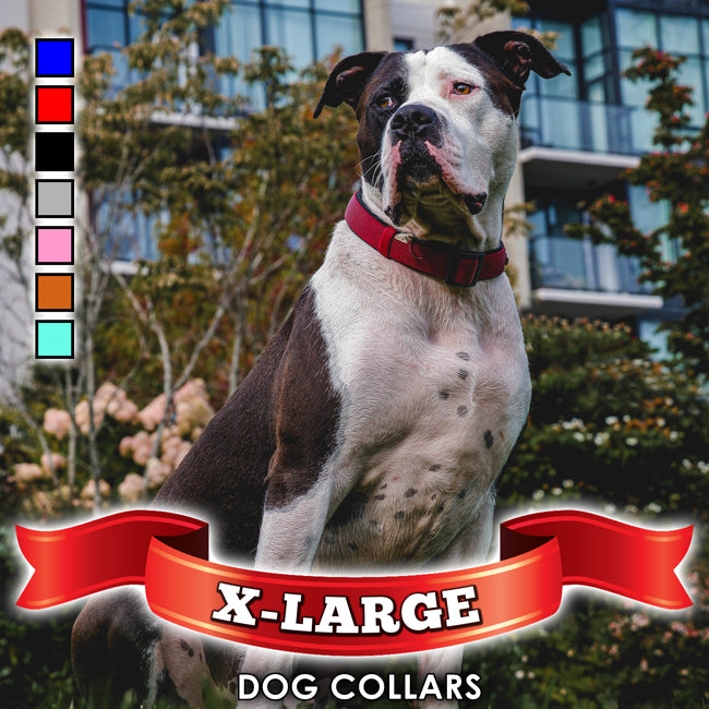 X-Large Dog Collar 