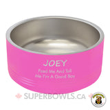 Dog Feed Bowl 