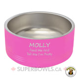 Double wall dog bowl